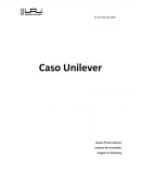 Caso unilever.