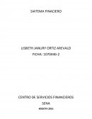 SISTEMA FINACIERO.