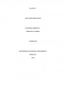 Externalidades Economía Ambiental