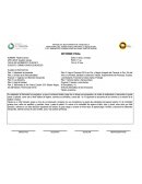 Informe final de pasantías