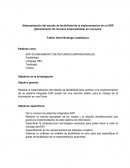 Sistematización del estudio de factibilidad de la implementación de un ERP (planeamiento de recursos empresariales) en una pyme.