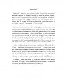 ¿Qué Tipos de Vacunas Contra Parvovirus Existen?