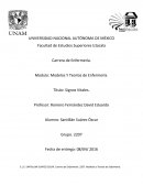 Modelos Y Teorías de Enfermería.
