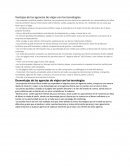 Ventajas de las agencias de viajes con las tecnologías.