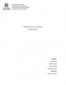 TRABAJO PRÁCTICO NUMERO 2 MICROSCOPÍA I