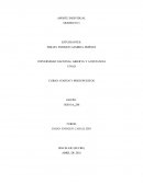 Aporte Individual Costos y Presupuesto.