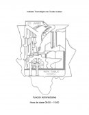 Función Administrativa Proyecto Vivi´s