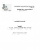 ANÁLISIS CURRICULAR CULTURA, CURRÍCULUM Y PRÁCTICAS DOCENTE