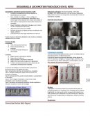 Desarrollo locomotor en pediatría.