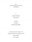 Aporte Individual Programa Psicología