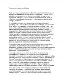 ENSAYO INTELIGENCIAS MULTIPLES.