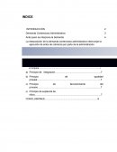 Demanda contencioso administrativo.