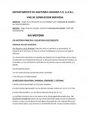 VIAS SENSITIVAS CONCIENTES