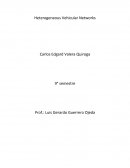 Heterogeneous Vehivular network.