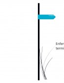 Enfermedades terminales.