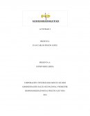 Responsabilidad social Práctica de vida