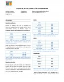 Valores empíricos de la constante de Rydberg a partir de las longitudes de ondas obtenidas, y el promedio respectivo.