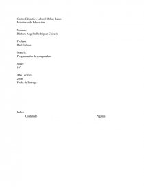 Programación de computadora Contenido Paginas. Página 1