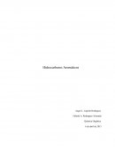 Hidrocarburos Aromáticos.