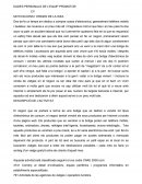 Pla d'empresa botiga electrònica.