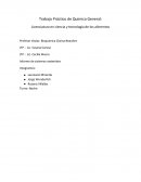 Trabajo Practico de Química Informe de sistemas materiales
