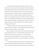 Fotosintesis la capacidad que los organismos autotróficos, como las plantas superiores y las algas