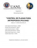 CONTROL DE PLAGAS PARA ARTROPODOS (PULGAS)