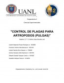 CONTROL DE PLAGAS PARA ARTROPODOS (PULGAS)