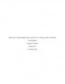 Análisis sobre el sujeto obligado a pagar y soportar el IVA y cuando se produce la obligación