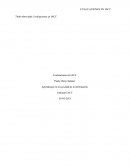 Aprendizaje en la sociedad de la información.