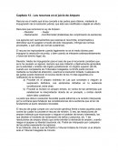 Capítulo 12 - Los recursos en el juicio de Amparo