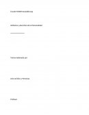 Los grandes Derechos y atributos de la personalidad jurídica