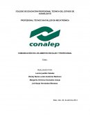 COMUNICACIÓN EN LOS AMBITOS ESCOLAR Y PROFECIONAL