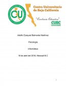 Tema: Alianza terapeuta