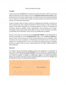 Practica de obtención de nylon.