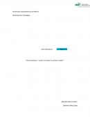 Tarea Individual 1 “¿Cuál es la misión? ¿Cuál es la visión?”