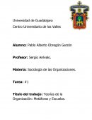 Título del trabajo: Teorías de la Organización: Metáforas y Escuelas.
