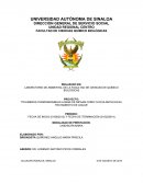 Polimeros termosensibles a base de nipaam como floculantes en el tratamiento de aguas