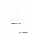 ANTECEDENTES DEL MODELO DE LA EMPRESA