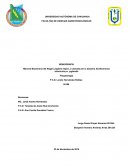 Monografía Mancha Bacteriana del Nogal Pecanero Xanthomonas arboricola pv. juglandis.