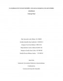 La enseñanza de la Gerencia Sostenible y otras áreas emergentes en las universidades colombianas.