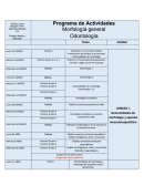 CALENDARIZACIÓN MORFOLOGÍA GENERAL.