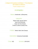 Colegio de Estudios Científicos Y Tecnológicos del Estado de México..