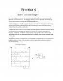 Que es um circuito toogle?