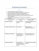 Evaluaciones Sumativas COCO.