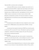 Tuberculosis MDR y conversión de cultivo con bedaquilina.