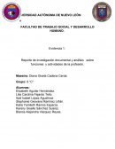 Reporte de investigación documental y análisis sobre funciones y actividades de la profesión..