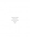 Tópicos de Recursos Humanos - Compensaciones y Beneficios