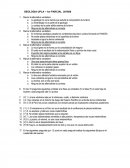 GEOLOGIA UPLA PARCIAL