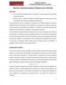 Fijar el concepto de equilibrio químico mediante el estudio experimental de distintas mezclas de reacción..
